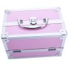 Portable Pink Aluminum Makeup Train Case with Top Handle Dual Opening and Built In Mirror Lockable Cosmetic Organizer Box for Travel Professional Beau