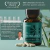 BIOMA Probiotics - Digestive Health Probiotic - Gut Support for Men & Women with Xylooligosaccharides, Tributyrin & Bifidobacterium - Vegan &...