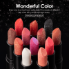 PSJ301-028   12 colors shiny matte lipstick Carved pearlescent glitter lipstick  2pc mixed sales Matte velvet lip lipstick makeup Velvet matte texture